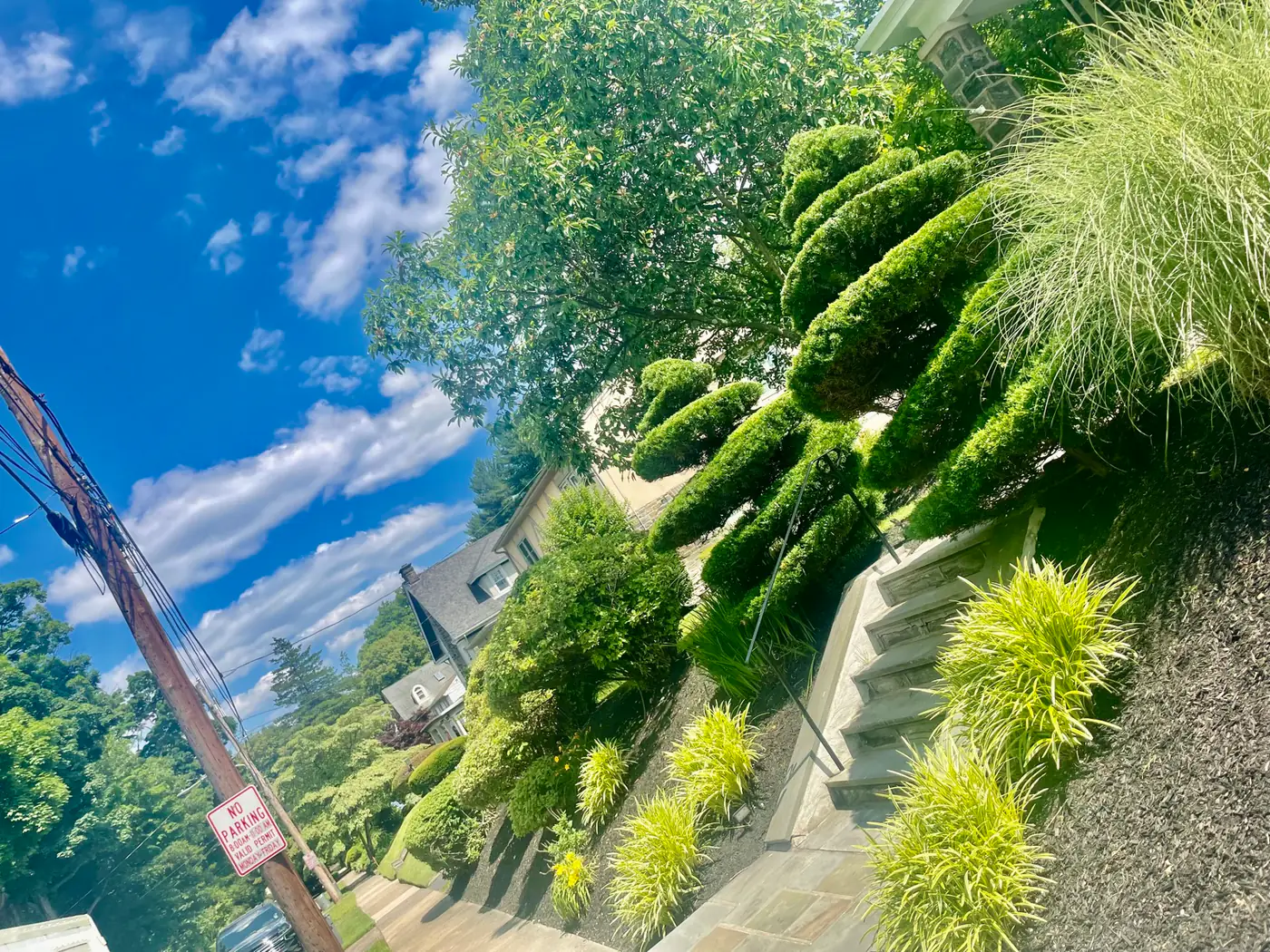Bare commercial lot before landscaping with staged plant material