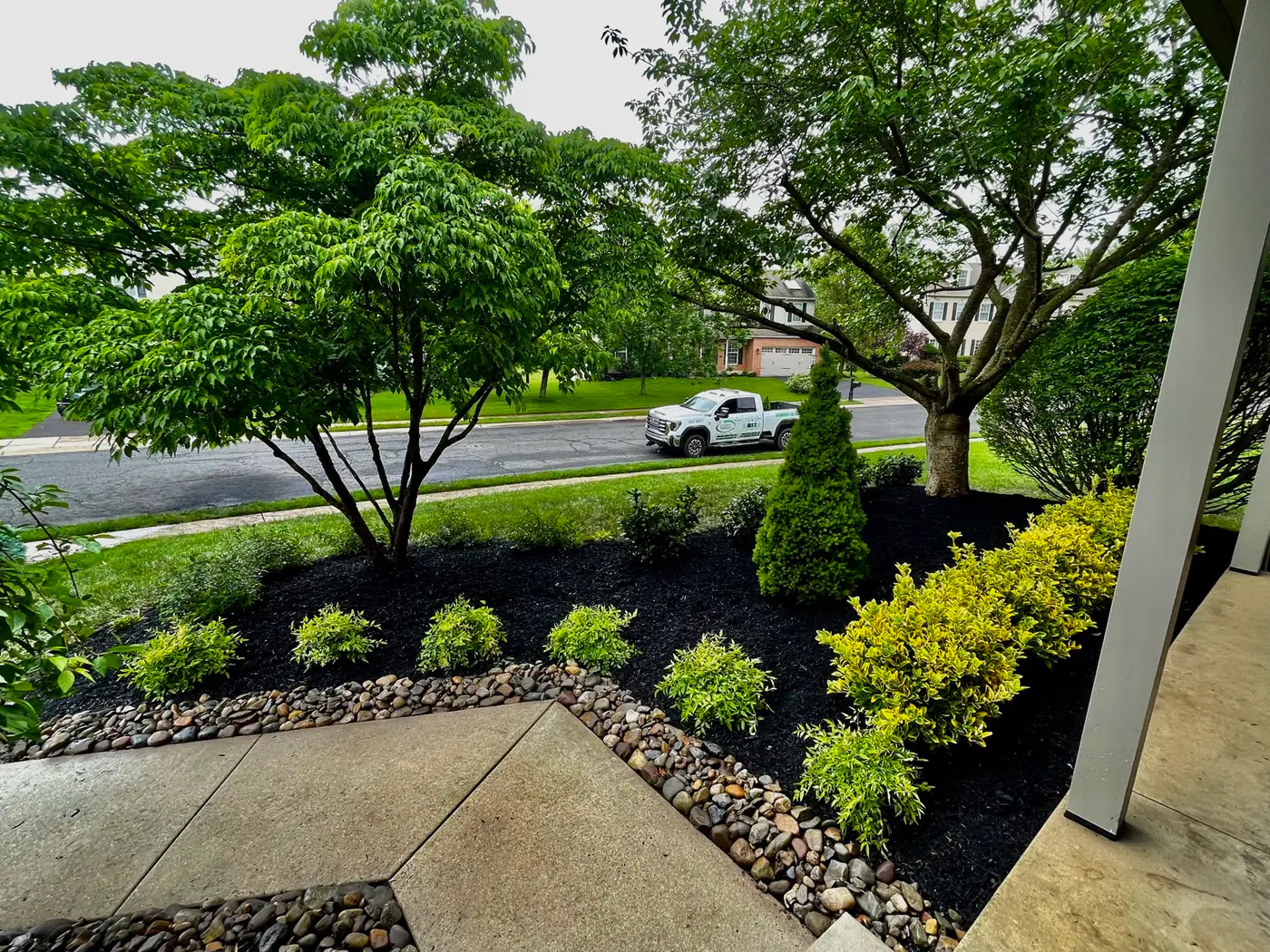 Layered planting beds with a Japanese maple in a landscape design
